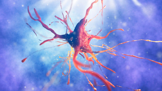 Neuroinflammation: The Hidden Driver of Brain Fog, Fatigue, and Cognitive Decline